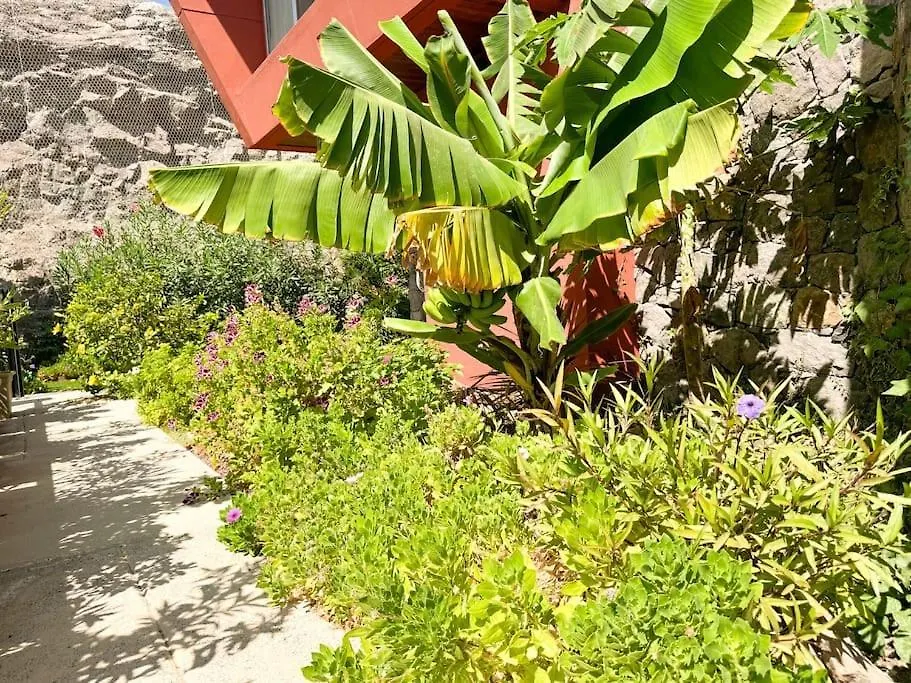 Green Villa The Canarian Garden By Tenpropertiesgc Las Palmas de Gran Canaria Spain